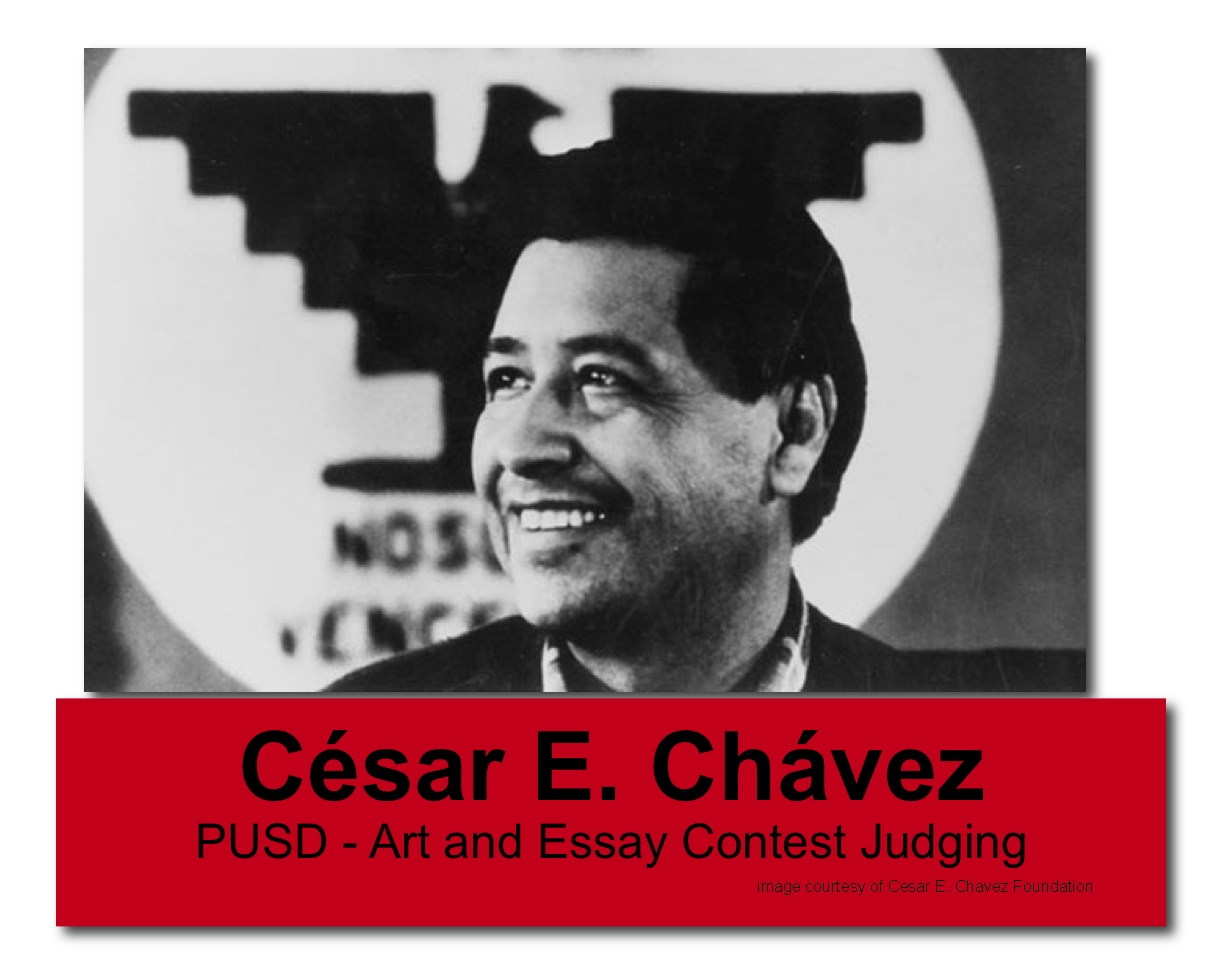 The Life of Cesar Chavez essays